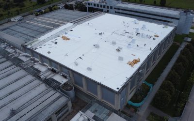 Belcorp | Rehabilitación Retechado